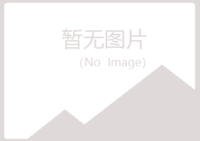 黄山黄山从彤金属有限公司